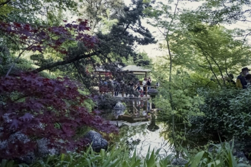 fuji-c200-roma-orto-botanico-8-maggio-2021-007