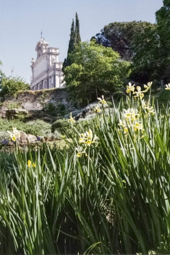 fuji-c200-roma-orto-botanico-8-maggio-2021-011