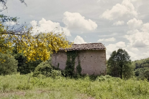 fuji-c200-roma-orto-botanico-8-maggio-2021-032