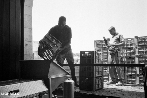 kentmere400-agosto2019-hc110-14