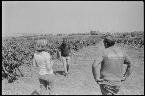 kodak-double-x-200-2024-web-022
