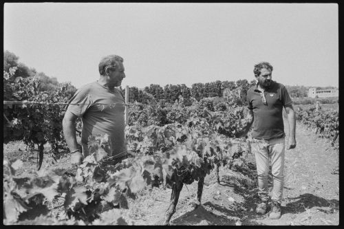 kodak-double-x-200-2024-web-023
