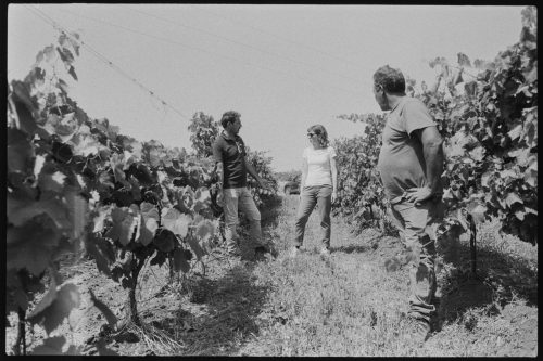 kodak-double-x-200-2024-web-025
