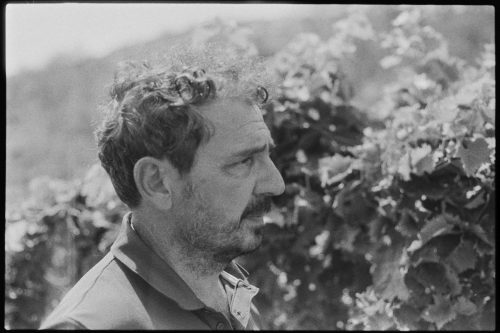 kodak-double-x-200-2024-web-026