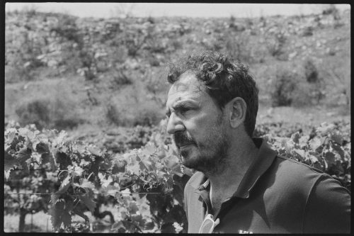 kodak-double-x-200-2024-web-028
