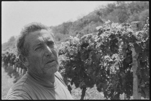 kodak-double-x-200-2024-web-029