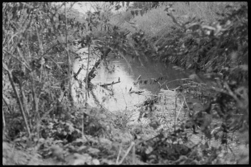 kodak-double-x-200-2024-web-030
