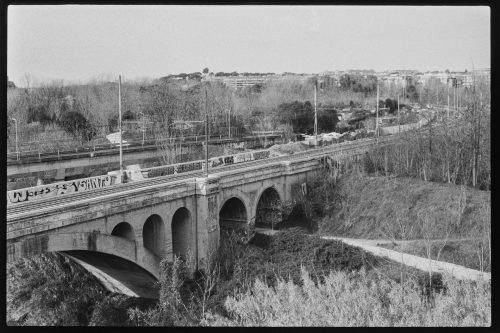 kodak-double-x-200-2024-web-031