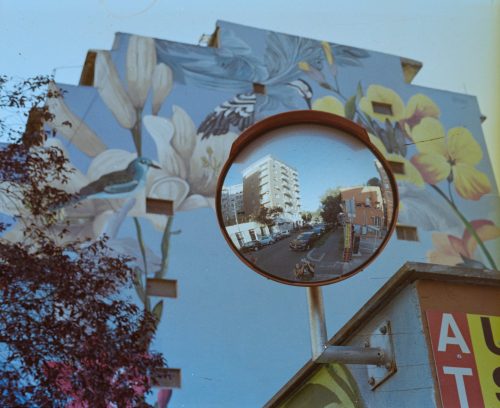 kodak-gold-200-2025-web-001