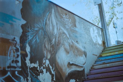 kodak-gold-200-2025-web-004