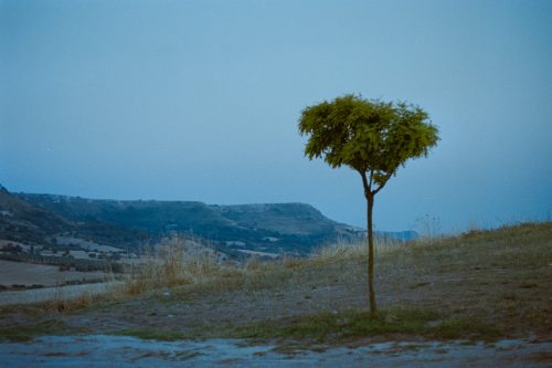 kodak-gold-200-2025-web-022