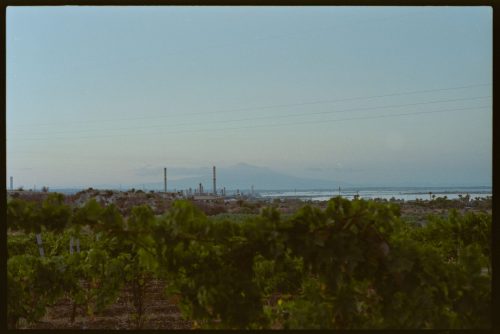 kodak-gold-200-estate-2025-web-010