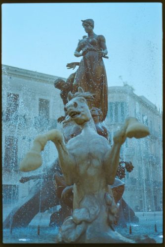 kodak-gold-200-estate-2025-web-016