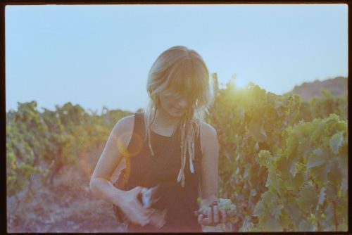 kodak-gold-200-estate-2025-web-018