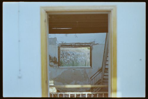kodak-gold-200-estate-2025-web-025
