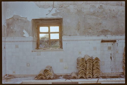 kodak-gold-200-estate-2025-web-027