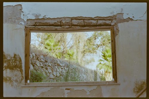 kodak-gold-200-estate-2025-web-029