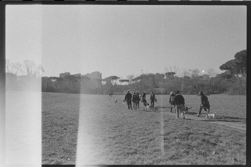 kodak-trix-400-2024-web-004