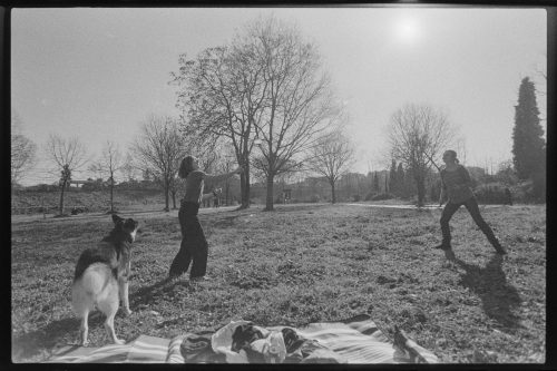 kodak-trix-400-2024-web-008