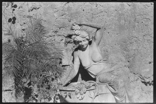 kodak-trix-400-2024-web-015