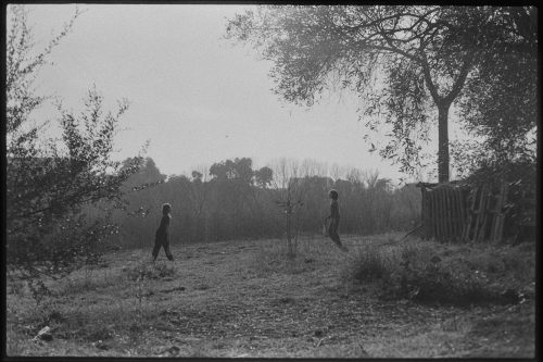 kodak-trix-400-2024-web-017