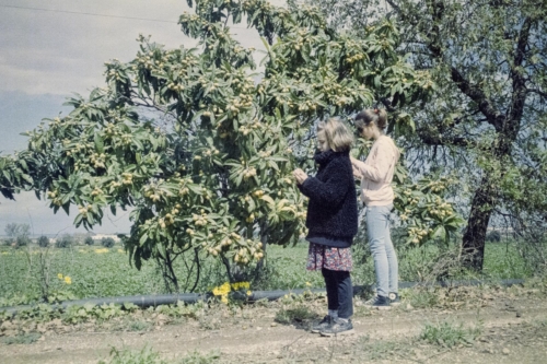 primera-200-roma-siracusa-marzo-aprile-2020-019