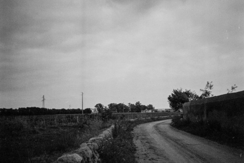 rollei-retro400s-gigi-targia-aprile2020-007