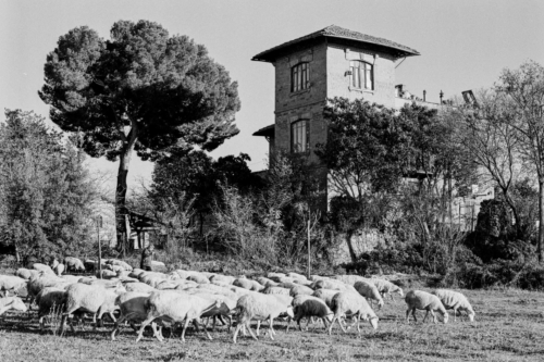 superpan200-D76-parchi-roma-gennaio-2021-005