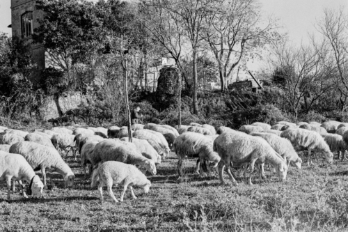 superpan200-D76-parchi-roma-gennaio-2021-006